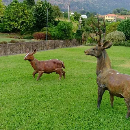 Quinta Da Arrifana